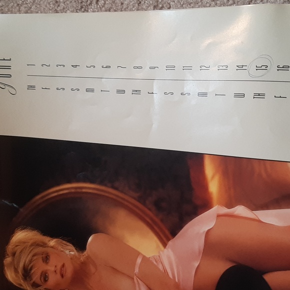 Vtg. 1995 Playboy Calendar - Picture 6 of 8